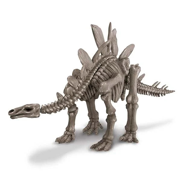 Dig A Dinosaur – Stegosaurus